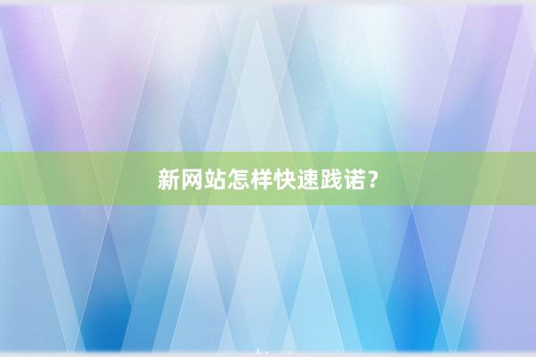 新网站怎样快速践诺？