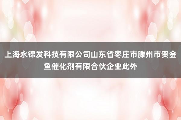 上海永锦发科技有限公司山东省枣庄市滕州市贺金鱼催化剂有限合伙企业此外